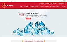 PGT Labs Wordpress Website